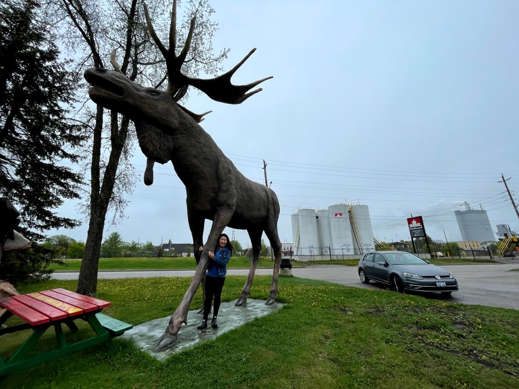 Day 6: Thunder Bay –>&nbsp;Dryden