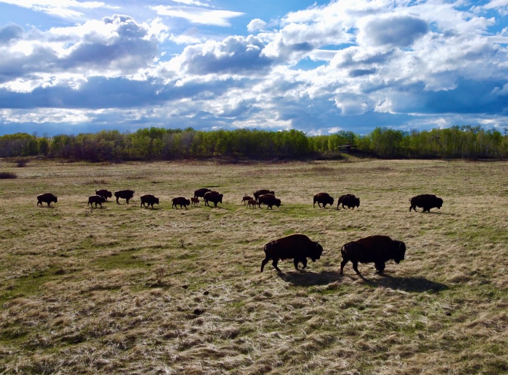 Day 8: Winnipeg –>&nbsp;Brandon