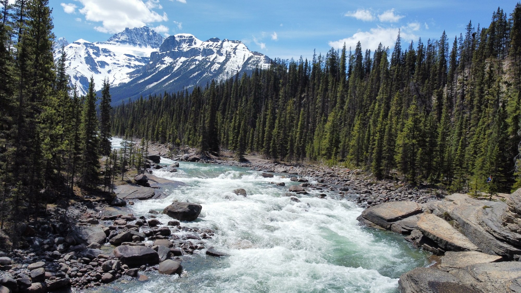 Snow-capped Rocky Mountains above a rushing turquoise river lined with evergreen forest