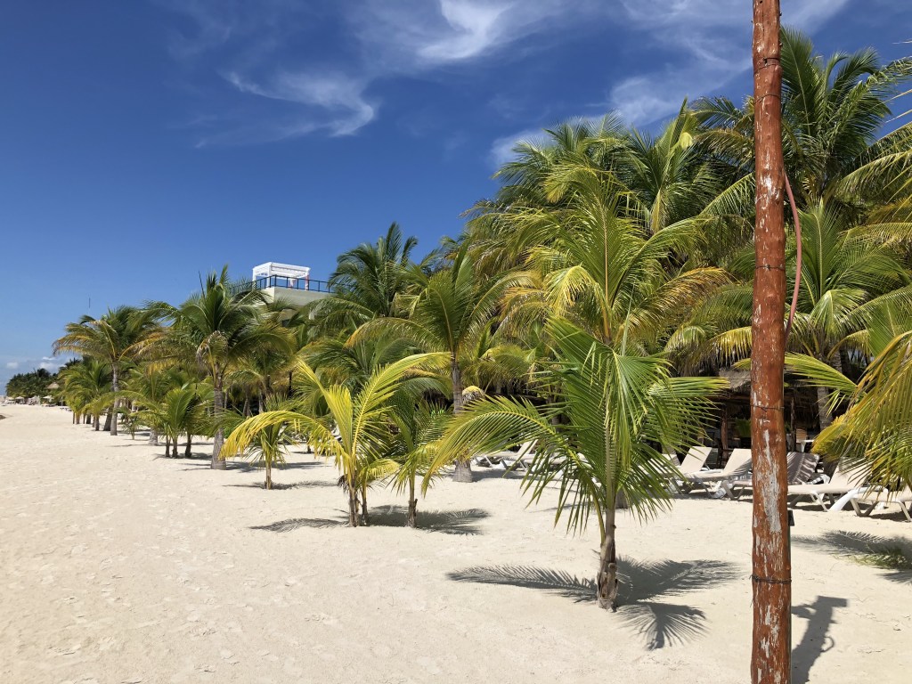 cozumel beach mexico