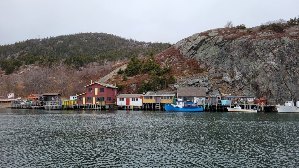 Cliffside houses built on wooden stilts in Quidi Vidi