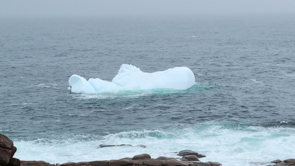 An iceberg next to the coast at Cape Spear